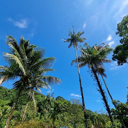 Casa da Josie em Maresias com piscina no pé da Mata Atlântica - 4 quartos Exterior foto