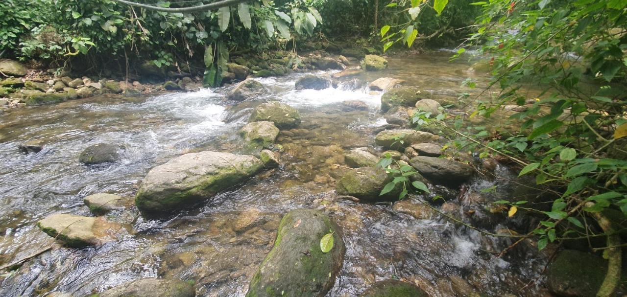 Casa da Josie em Maresias com piscina no pé da Mata Atlântica - 4 quartos Exterior foto