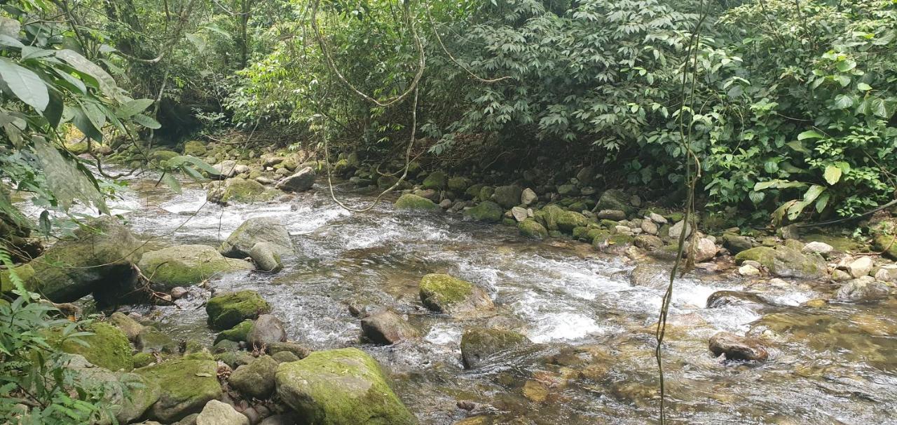 Casa da Josie em Maresias com piscina no pé da Mata Atlântica - 4 quartos Exterior foto